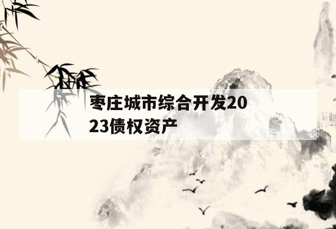 枣庄城市综合开发2023债权资产