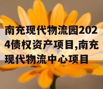 南充现代物流园2024债权资产项目,南充现代物流中心项目