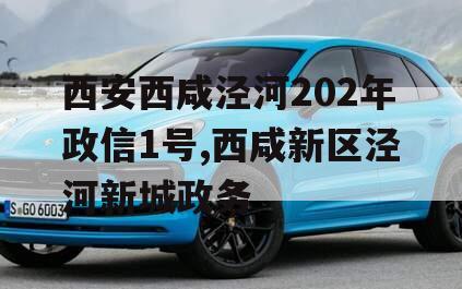 西安西咸泾河202年政信1号,西咸新区泾河新城政务