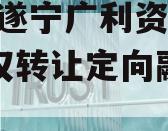 2024遂宁广利资产收益权转让定向融资计划