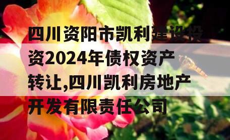 四川资阳市凯利建设投资2024年债权资产转让,四川凯利房地产开发有限责任公司