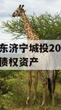 山东济宁城投2024年债权资产