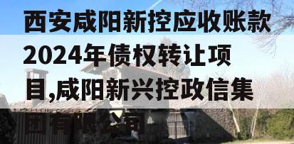 西安咸阳新控应收账款2024年债权转让项目,咸阳新兴控政信集团有限公司