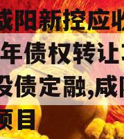 西安咸阳新控应收账款2024年债权转让项目城投债定融,咸阳新开工项目