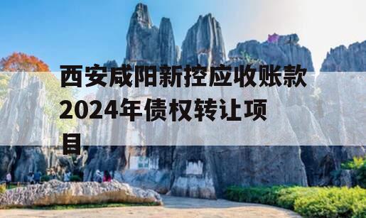 西安咸阳新控应收账款2024年债权转让项目