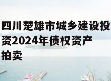 四川楚雄市城乡建设投资2024年债权资产拍卖