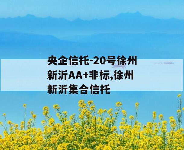 央企信托-20号徐州新沂AA+非标,徐州新沂集合信托