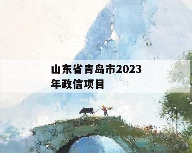 山东省青岛市2023年政信项目