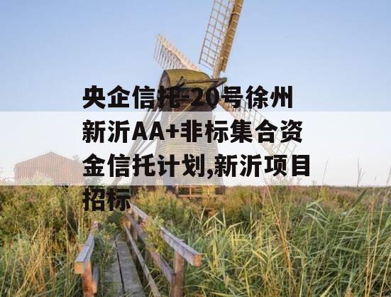 央企信托-20号徐州新沂AA+非标集合资金信托计划,新沂项目招标