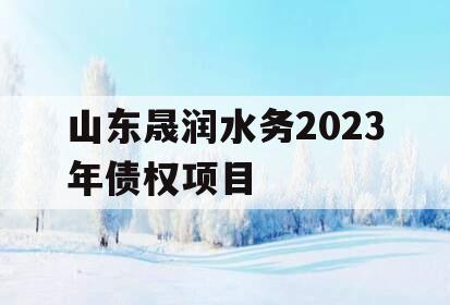 山东晟润水务2023年债权项目