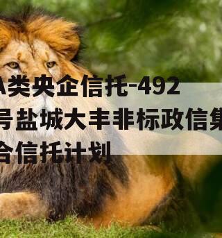 A类央企信托-492号盐城大丰非标政信集合信托计划