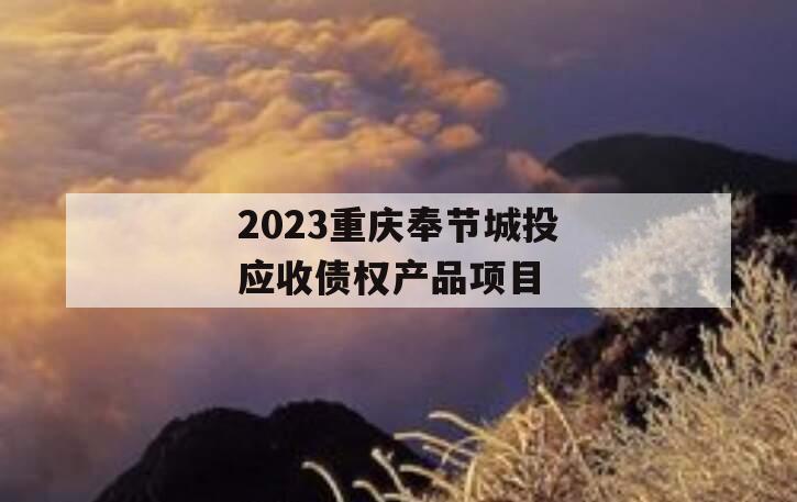 2023重庆奉节城投应收债权产品项目