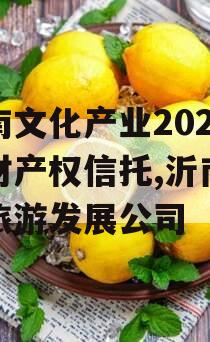 沂南文化产业2024年财产权信托,沂南文化旅游发展公司