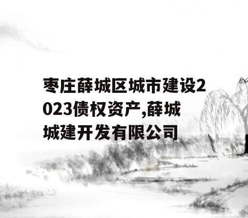 枣庄薛城区城市建设2023债权资产,薛城城建开发有限公司