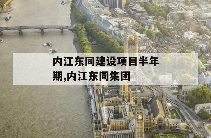 内江东同建设项目半年期,内江东同集团