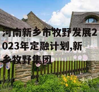 河南新乡市牧野发展2023年定融计划,新乡牧野集团