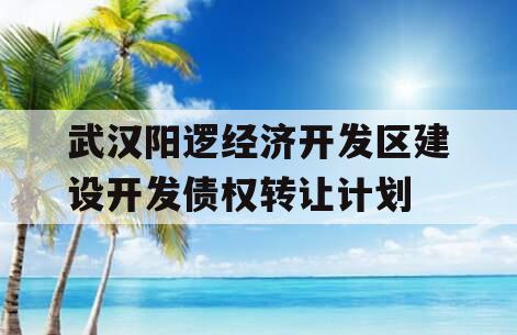 武汉阳逻经济开发区建设开发债权转让计划