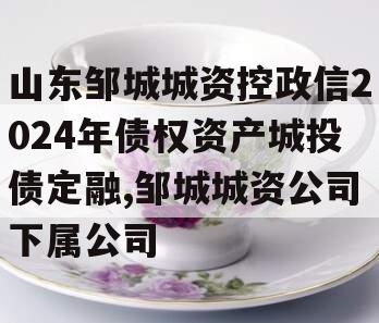 山东邹城城资控政信2024年债权资产城投债定融,邹城城资公司下属公司