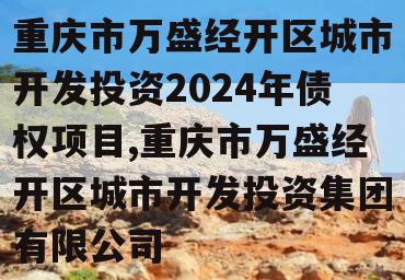 重庆市万盛经开区城市开发投资2024年债权项目,重庆市万盛经开区城市开发投资集团有限公司