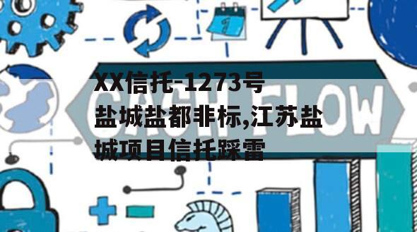 XX信托-1273号盐城盐都非标,江苏盐城项目信托踩雷