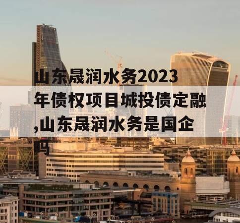 山东晟润水务2023年债权项目城投债定融,山东晟润水务是国企吗