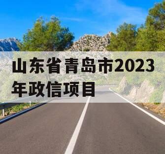 山东省青岛市2023年政信项目