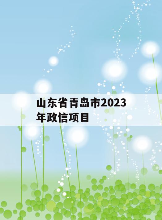 山东省青岛市2023年政信项目