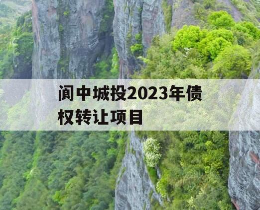 阆中城投2023年债权转让项目