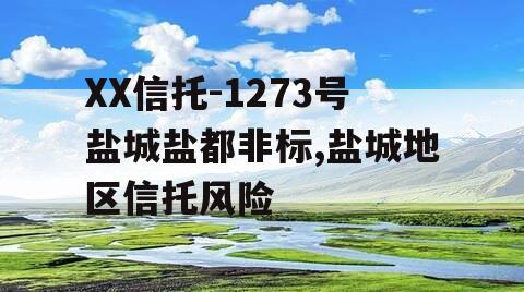 XX信托-1273号盐城盐都非标,盐城地区信托风险