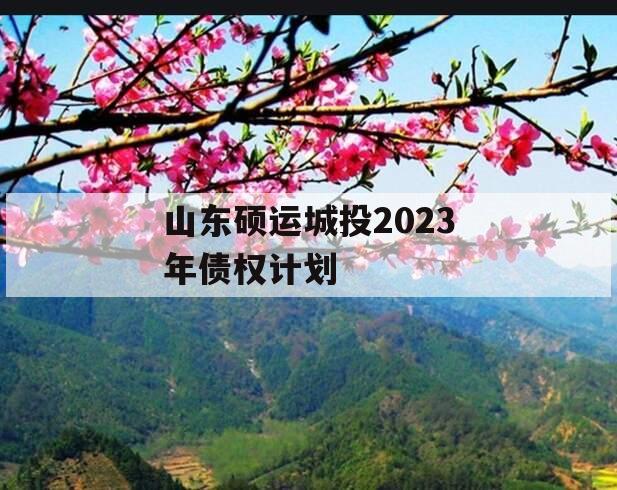 山东硕运城投2023年债权计划