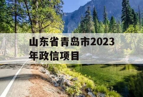 山东省青岛市2023年政信项目