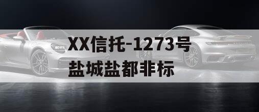 XX信托-1273号盐城盐都非标