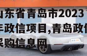 山东省青岛市2023年政信项目,青岛政信采购信息网