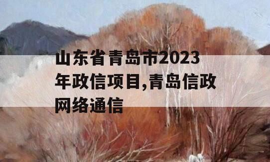 山东省青岛市2023年政信项目,青岛信政网络通信
