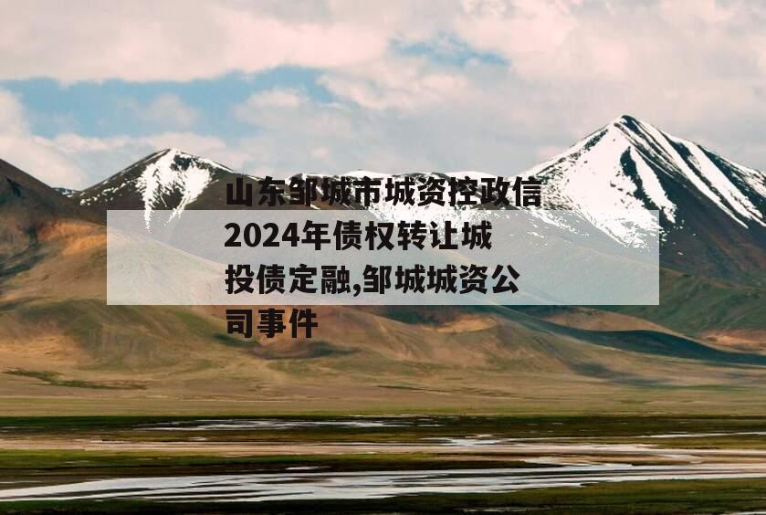 山东邹城市城资控政信2024年债权转让城投债定融,邹城城资公司事件