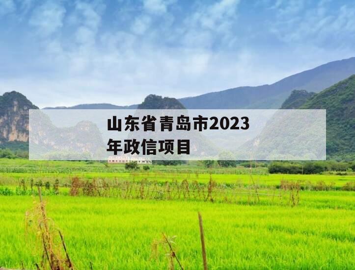 山东省青岛市2023年政信项目