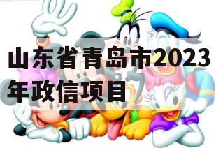 山东省青岛市2023年政信项目