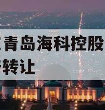 山东青岛海科控股债权资产转让