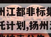 A级央企信托-702号扬州江都非标集合资金信托计划,扬州江都区土地拍卖公告