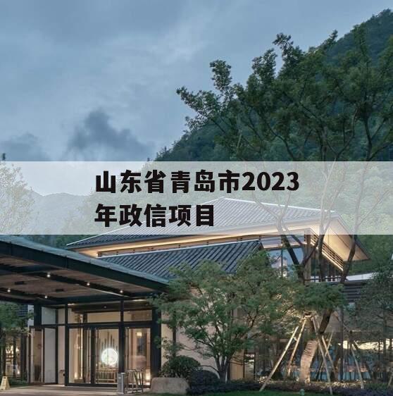 山东省青岛市2023年政信项目