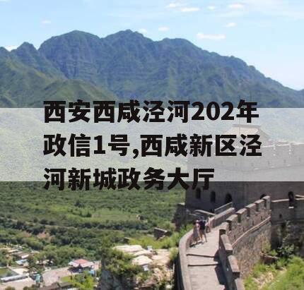 西安西咸泾河202年政信1号,西咸新区泾河新城政务大厅