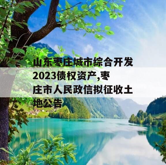 山东枣庄城市综合开发2023债权资产,枣庄市人民政信拟征收土地公告