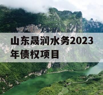 山东晟润水务2023年债权项目