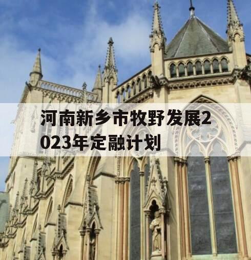 河南新乡市牧野发展2023年定融计划