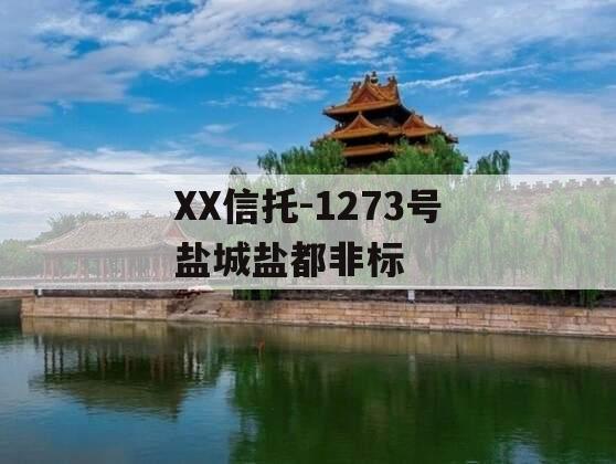 XX信托-1273号盐城盐都非标