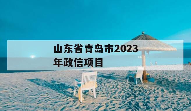 山东省青岛市2023年政信项目