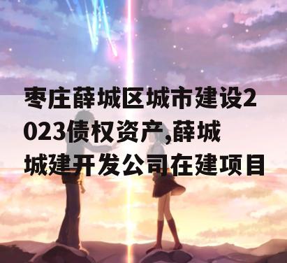 枣庄薛城区城市建设2023债权资产,薛城城建开发公司在建项目