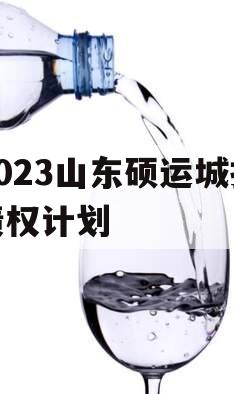 2023山东硕运城投债权计划