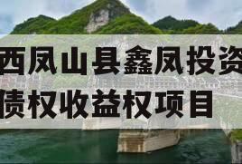 广西凤山县鑫凤投资发展债权收益权项目