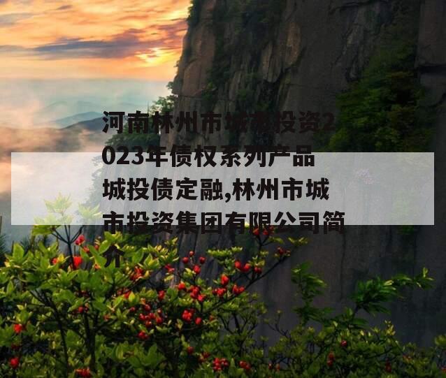 河南林州市城市投资2023年债权系列产品城投债定融,林州市城市投资集团有限公司简介